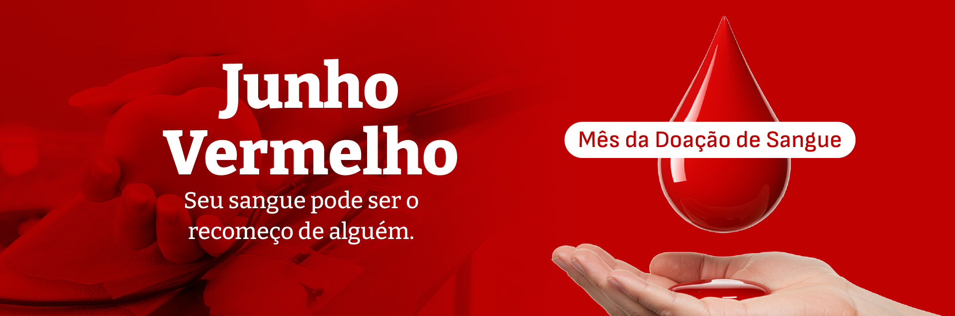 Banner Site PGP Junho 03